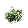 Fresh Leaf Holly Plant Stem UV Proof 26cm - Designer Vertical Gardens Artificial flower stems Artificial greenery stems
