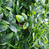 Green Meadows Artificial Vertical Garden / Fake Green Wall 1m x 1m UV Resistant - Designer Vertical Gardens artificial garden wall plants artificial green wall australia