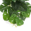 Hanging Artificial Monstera Adansonia Plant 50cm - Designer Vertical Gardens hanging plants Stems / Ferns