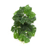 Hanging Artificial Monstera Adansonia Plant 50cm - Designer Vertical Gardens hanging plants Stems / Ferns