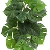 Hanging Artificial Monstera Adansonia Plant 50cm - Designer Vertical Gardens hanging plants Stems / Ferns