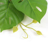 Hanging Artificial Monstera Adansonia Plant 50cm - Designer Vertical Gardens hanging plants Stems / Ferns