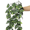 Hanging Artificial Pothos / Philodendron Plant UV Resistant 85cm - Designer Vertical Gardens artificial hanging ferns hanging fern