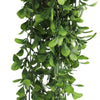 Hanging Creeping Fig Vine – UV & Fire Rated (18cm x 76cm) - Designer Vertical Gardens artificial hanging ferns hanging fern
