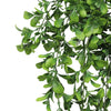 Hanging Creeping Fig Vine – UV & Fire Rated (18cm x 76cm) - Designer Vertical Gardens artificial hanging ferns hanging fern