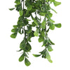 Hanging Creeping Fig Vine – UV & Fire Rated (18cm x 76cm) - Designer Vertical Gardens artificial hanging ferns hanging fern