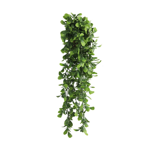 Hanging Creeping Fig Vine – UV & Fire Rated (18cm x 76cm) - Designer Vertical Gardens artificial hanging ferns hanging fern
