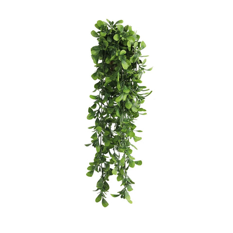 Hanging Creeping Fig Vine – UV & Fire Rated (18cm x 76cm) - Designer Vertical Gardens artificial hanging ferns hanging fern