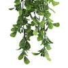 Hanging Creeping Fig Vine – UV & Fire Rated (18cm x 76cm) - Designer Vertical Gardens artificial hanging ferns hanging fern