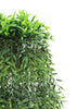 Hanging Fern Cascade Basket – UV Resistant (26cm x 135cm) - Designer Vertical Gardens hanging plants