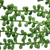 Hanging Succulent String of Pearl Beads 75cm - Designer Vertical Gardens artificial green wall sydney artificial vertical garden melbourne