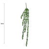 Hanging Succulent String of Pearl Beads 75cm - Designer Vertical Gardens artificial green wall sydney artificial vertical garden melbourne