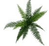 Artificial Draping Fern Stem  45cm - side view