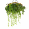 Imitation Gold Artificial Hanging Green Wall Disc 80cm (Limited Edition) UV Resistant Foliage - Designer Vertical Gardens hanging fern hanging garland