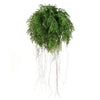 Large Lush Tropical Hanging Fern Ball 55cm Diameter - Designer Vertical Gardens hanging plants