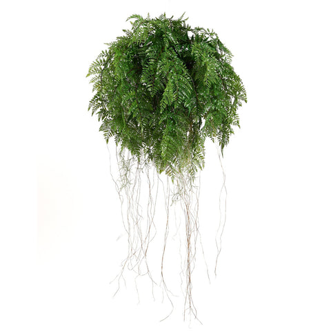 Large Lush Tropical Hanging Fern Ball 55cm Diameter - Designer Vertical Gardens hanging plants