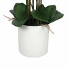 Large Multi - Stem White Potted Faux Orchid 65cm - Designer Vertical Gardens Artificial Trees Flowering plants