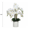 Large Multi - Stem White Potted Faux Orchid 65cm - Designer Vertical Gardens Artificial Trees Flowering plants