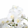 Large Multi - Stem White Potted Faux Orchid 65cm - Designer Vertical Gardens Artificial Trees Flowering plants