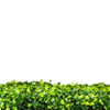 Light English Boxwood Artificial Hedge Panel 1m x 1m – SGS UV Resistant - Designer Vertical Gardens artificial garden wall plants artificial green wall australia