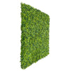 Light English Boxwood Artificial Hedge Panel 1m x 1m – SGS UV Resistant - Designer Vertical Gardens artificial garden wall plants artificial green wall australia