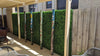 Light English Boxwood Artificial Hedge Panel 1m x 1m – SGS UV Resistant - Designer Vertical Gardens artificial garden wall plants artificial green wall australia