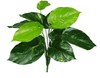 Lilly Pilly Stem - 32cm - Designer Vertical Gardens artificial garden wall plants artificial green wall australia
