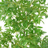 Luscious Premium Artificial Nandina Tree (Sacred Bamboo) 140cm - Designer Vertical Gardens Artificial Trees Artificial Trees for Balconies