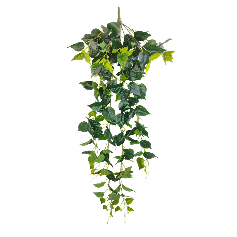 Lush Hanging Philodendron Trail – UV Protected Greenery (110cm) - Designer Vertical Gardens