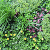 Luxury Country Fern Vertical Garden Green Wall Panel 1m x 1m – SGS UV Resistant - Designer Vertical Gardens artificial garden wall plants artificial green wall australia