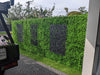 Luxury Dense Buxus Artificial Hedge Tile 1m x 1m – SGS UV Resistant - Designer Vertical Gardens artificial garden wall plants artificial green wall australia