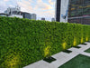 Luxury Dense Fern Vertical Garden Green Wall Panel 1m x 1m – SGS UV Resistant - Designer Vertical Gardens artificial garden wall plants artificial green wall australia