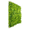 Luxury Dense Fern Vertical Garden Green Wall Panel 1m x 1m – SGS UV Resistant - Designer Vertical Gardens artificial garden wall plants artificial green wall australia