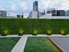 Luxury Dense Fern Vertical Garden Green Wall Panel 1m x 1m – SGS UV Resistant - Designer Vertical Gardens artificial garden wall plants artificial green wall australia