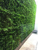 Luxury Dense Fern Vertical Garden Green Wall Panel 1m x 1m – SGS UV Resistant - Designer Vertical Gardens artificial garden wall plants artificial green wall australia