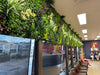 Luxury Evergreen Rainforest Recycled Vertical Garden Green Wall Panel 1m x 1m – SGS UV Resistant - Designer Vertical Gardens artificial garden wall plants artificial green wall australia