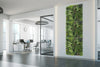 Luxury Evergreen Rainforest Recycled Vertical Garden Green Wall Panel 1m x 1m – SGS UV Resistant - Designer Vertical Gardens artificial garden wall plants artificial green wall australia