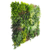 Luxury Evergreen Rainforest Recycled Vertical Garden Green Wall Panel 1m x 1m – SGS UV Resistant - Designer Vertical Gardens artificial garden wall plants artificial green wall australia