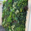 Luxury Evergreen Rainforest Recycled Vertical Garden Green Wall Panel 1m x 1m – SGS UV Resistant - Designer Vertical Gardens artificial garden wall plants artificial green wall australia