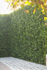 Luxury Flowering Buxus Artificial Hedge Panel 1m x 1m – SGS UV Resistant - Designer Vertical Gardens artificial green wall australia artificial green wall sydney