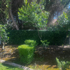 Luxury Flowering Buxus Artificial Hedge Panel 1m x 1m – SGS UV Resistant - Designer Vertical Gardens artificial green wall australia artificial green wall sydney