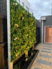 Luxury Flowering White Jasmine Vertical Garden Green Wall Panel 1m x 1m – SGS UV Resistant - Designer Vertical Gardens artificial garden wall plants artificial green wall australia