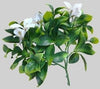 Luxury Flowering White Jasmine Vertical Garden Green Wall Panel 1m x 1m – SGS UV Resistant - Designer Vertical Gardens artificial garden wall plants artificial green wall australia