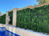Luxury Green Beet Vertical Garden Green Wall Panel 1m x 1m – SGS UV Resistant - Designer Vertical Gardens artificial garden wall plants artificial green wall australia