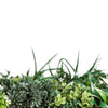Luxury Green Forest Vertical Garden Green Wall Panel 1m x 1m – SGS UV Resistant & Fire Rated - Designer Vertical Gardens artificial garden wall plants artificial green wall australia