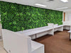 Luxury Green Sensation Vertical Garden Green Wall Panel 1m x 1m – SGS UV Resistant (1 Week Price Reduction) - Designer Vertical Gardens artificial garden wall plants artificial green wall australia