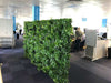 Luxury Green Sensation Vertical Garden Green Wall Panel 1m x 1m – SGS UV Resistant (1 Week Price Reduction) - Designer Vertical Gardens artificial garden wall plants artificial green wall australia