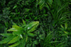 Luxury Green Sensation Vertical Garden Green Wall Panel 1m x 1m – SGS UV Resistant (1 Week Price Reduction) - Designer Vertical Gardens artificial garden wall plants artificial green wall australia