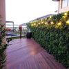 Luxury Green Sensation Vertical Garden Green Wall Panel 1m x 1m – SGS UV Resistant (1 Week Price Reduction) - Designer Vertical Gardens artificial garden wall plants artificial green wall australia