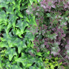 Luxury Lush Botanical Mosaic Vertical Garden Green Wall Panel 1m x 1m – SGS UV Resistant - Designer Vertical Gardens artificial green wall australia artificial green wall installation